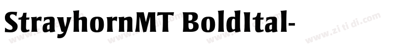 StrayhornMT BoldItal字体转换